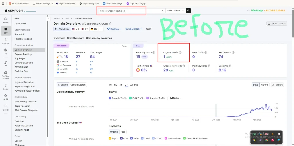 before seo